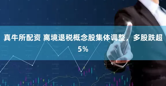 真牛所配资 离境退税概念股集体调整，多股跌超5%
